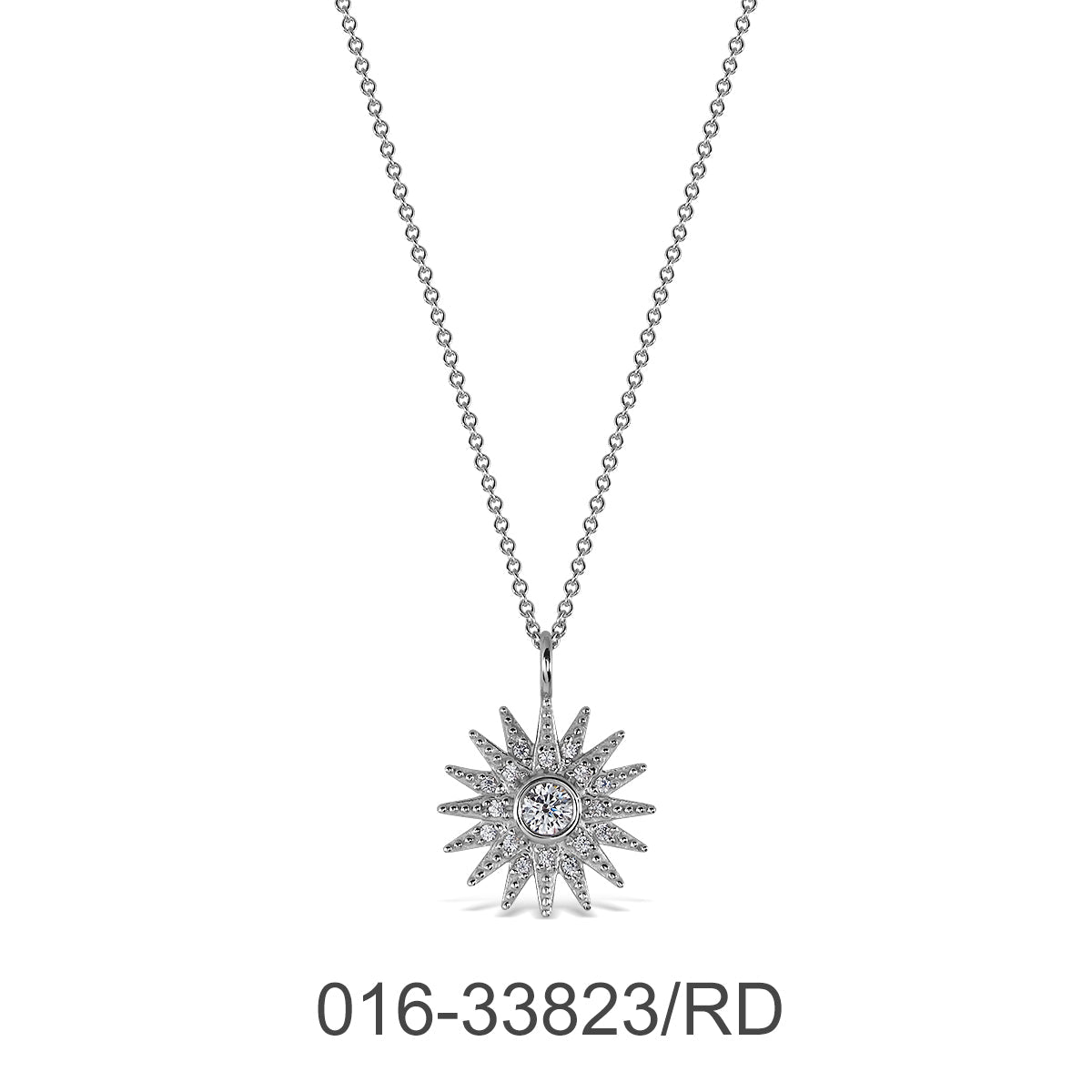 016-33823/RD