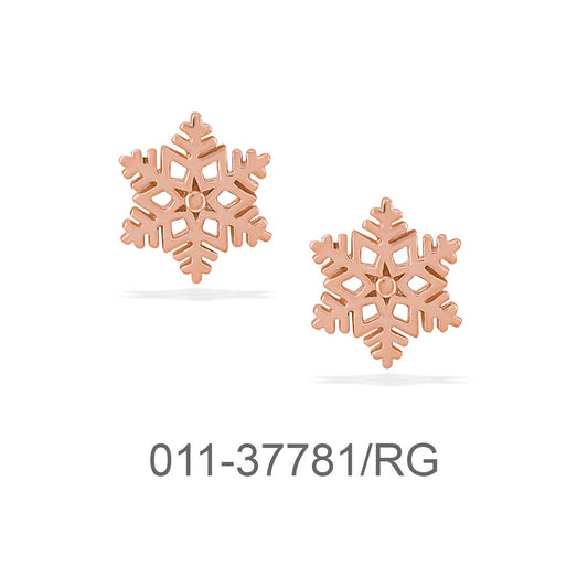 011-37781/RG