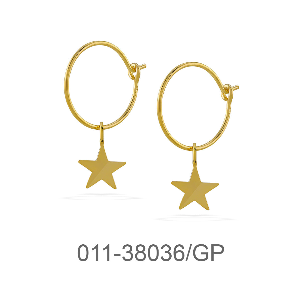 011-38036/GP