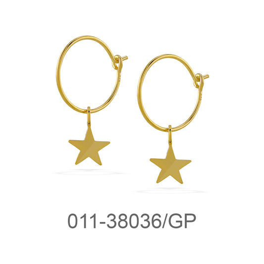 011-38036/GP