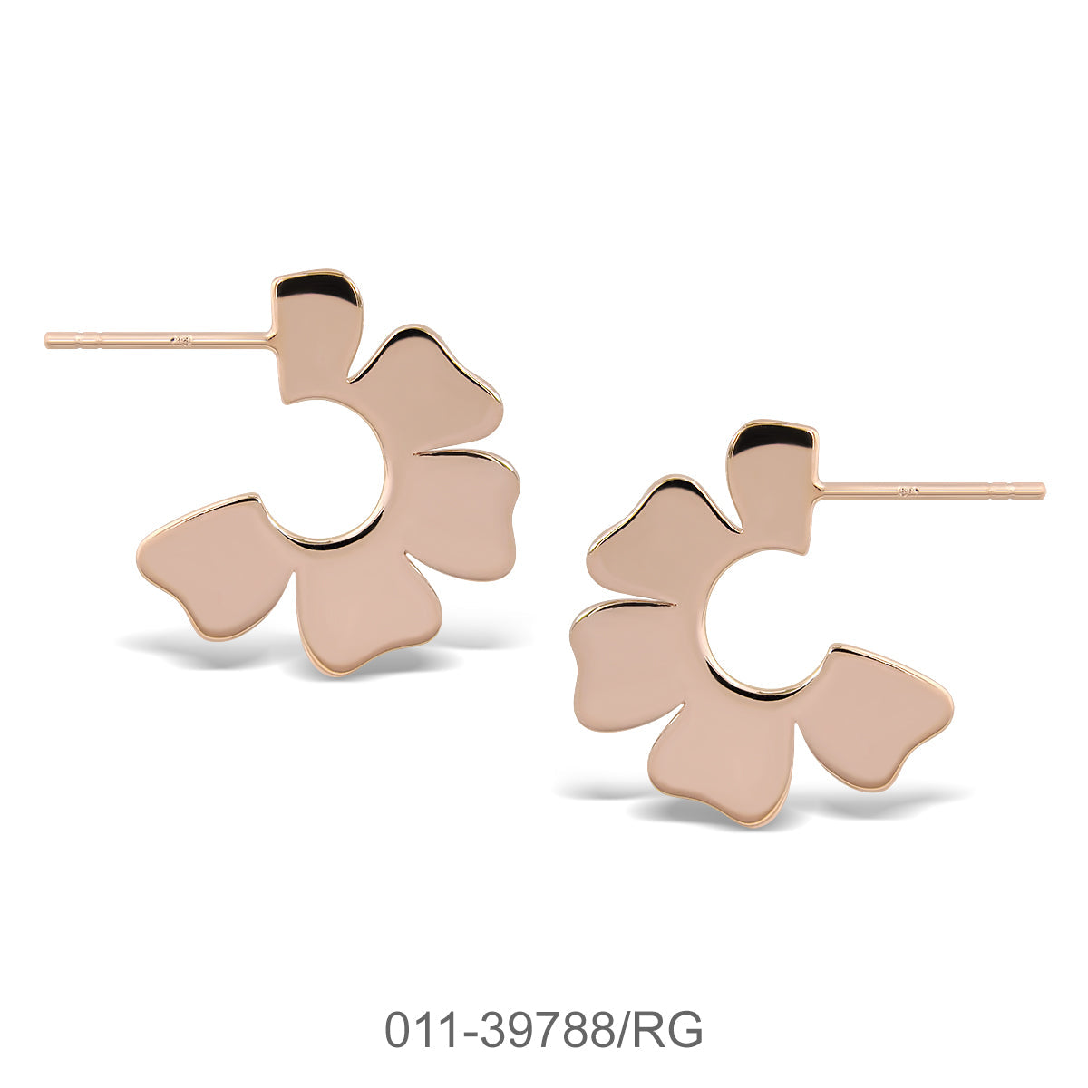011-39788/RG