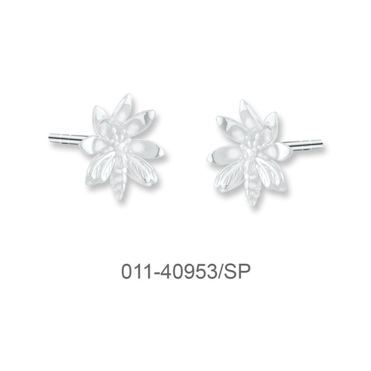 011-40953/SP