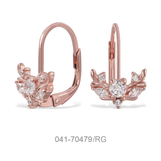 041-70479/RG