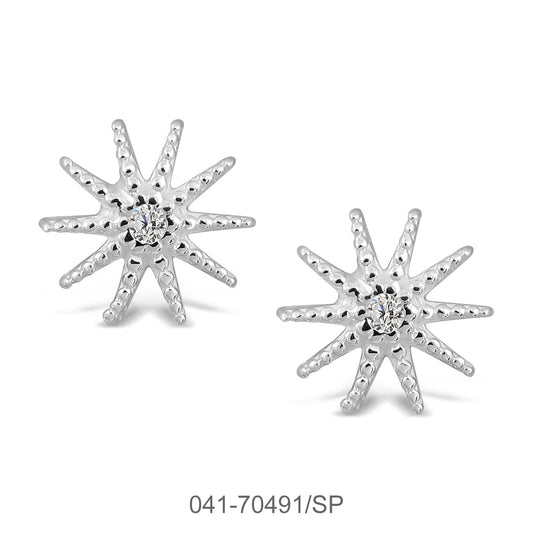 041-70491/SP