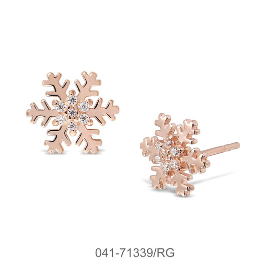 041-71339/RG