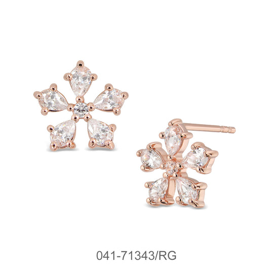 041-71343/RG