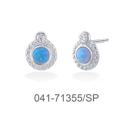 041-71355/SP