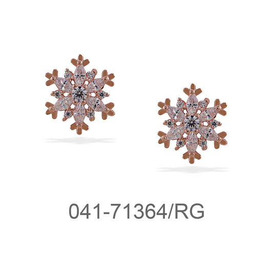 041-71364/RG