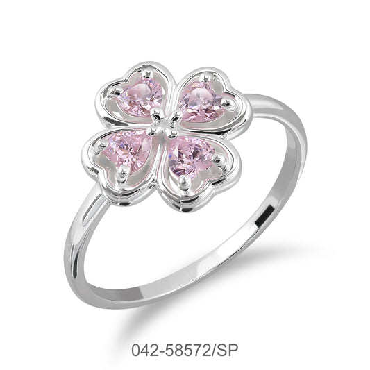 042-58572/SP